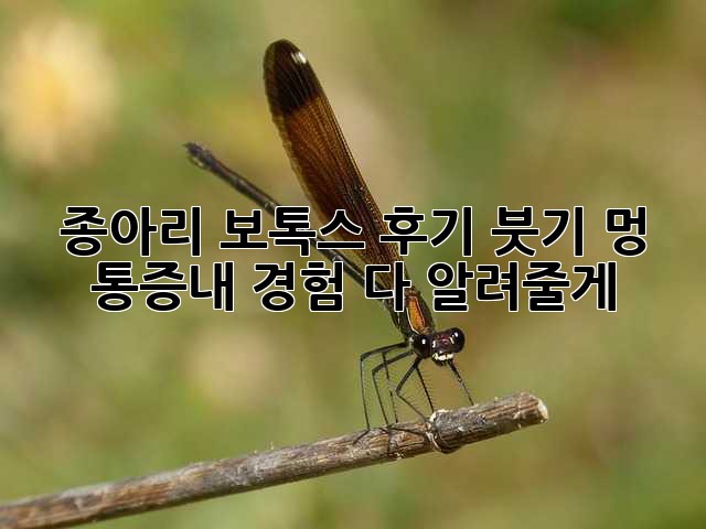 0312f58fedc879e8622991abe52b3e94.jpg