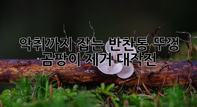3018b980e798f455c2d0905a9ab17992.jpg