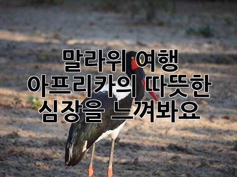 9211256ec2c14b5109795cd93de349ac.jpg