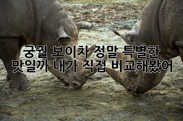 9586ec8bdf2687afe6cb63a897305532.jpg