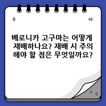 ecde4aba317baa0b2251f7b64f331c85.jpg