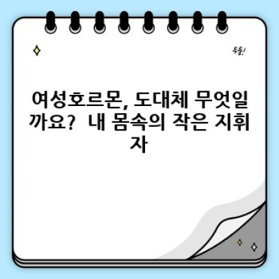 여성호르몬 완벽 가이드: 건강한 삶을 위한 모든 것