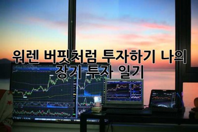 워렌 버핏처럼 투자하기: 나의 장기 투자 일기