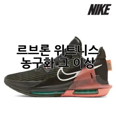 르브론 위트니스: 농구화 그 이상