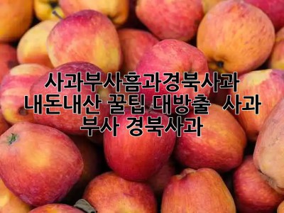 🍎 사과부사흠과경북사과 내돈내산 꿀팁 대방출! 🍯 #사과 #부사 #경북사과