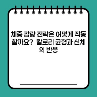 체중 감량 전략: 성공적인 다이어트를 위한 완벽 가이드