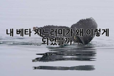 내 베타, 지느러미가 왜 이렇게 되었을까? 😭