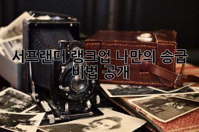서프랜더 랭크업, 나만의 승급 비법 공개!
