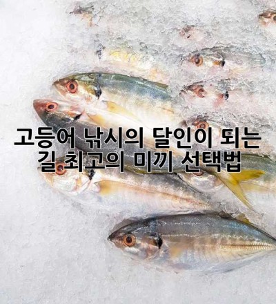 고등어 낚시의 달인이 되는 길: 최고의 미끼 선택법!