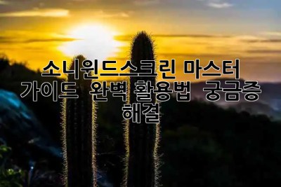 소니윈드스크린 마스터 가이드 🌬️ 완벽 활용법 & 궁금증 해결!