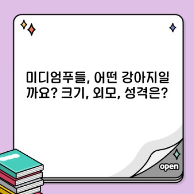 미디엄푸들 완벽 가이드: 입양 전 알아야 할 모든 것