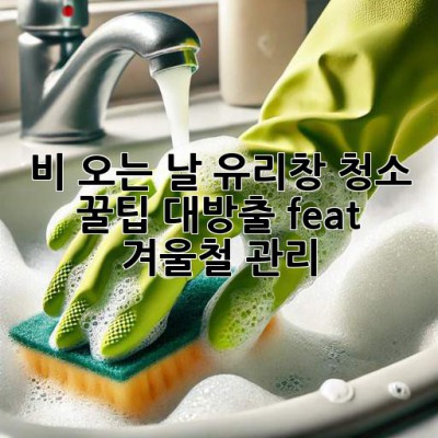 비 오는 날☔️ 유리창 청소, 꿀팁 대방출✨ (feat. 겨울철 관리)