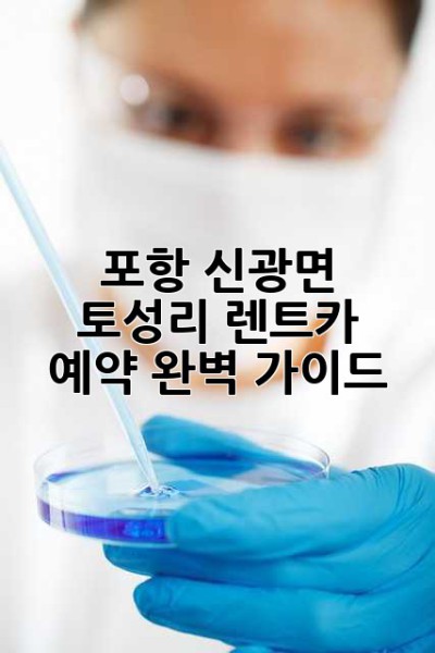 포항 신광면 토성리 렌트카 예약 완벽 가이드!