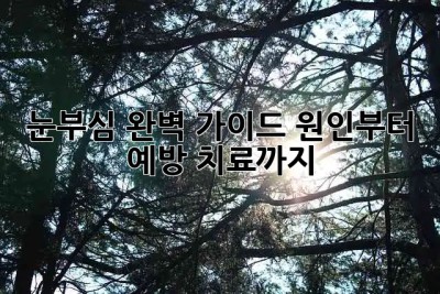 눈부심 완벽 가이드☀️: 원인부터 예방, 치료까지!