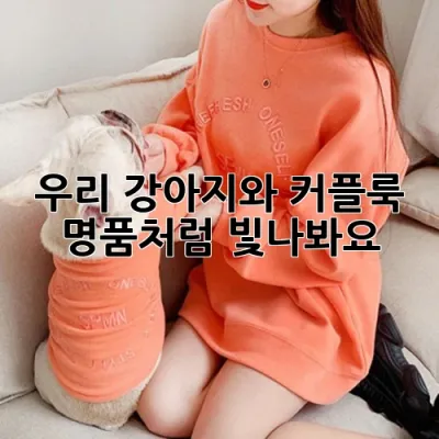 우리 강아지와 커플룩, 명품처럼 빛나봐요! ✨