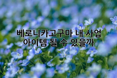 베로니카고구마, 내 사업 아이템 될 수 있을까? 🤔