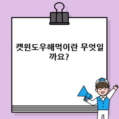 캣윈도우해먹 완벽 가이드: 고양이 행복과 집사 만족을 위한 모든 것
