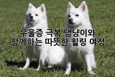 🐶🐱 우울증 극복! 댕냥이와 함께하는 따뜻한 힐링 여정 💖