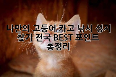 나만의 고등어 카고 낚시 성지 찾기: 전국 BEST 포인트 총정리!
