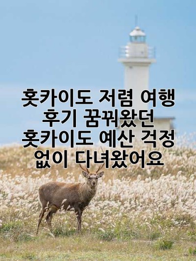 홋카이도 저렴 여행 후기: 꿈꿔왔던 홋카이도, 예산 걱정 없이 다녀왔어요!
