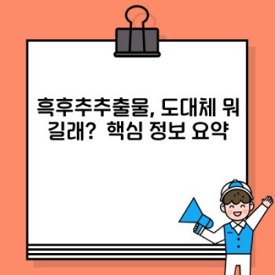 흑후추추출물: 건강과 미용의 비밀, 효능과 활용법 완벽 가이드