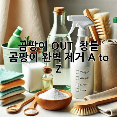 곰팡이 OUT! 🏡 창틀 곰팡이 완벽 제거 A to Z
