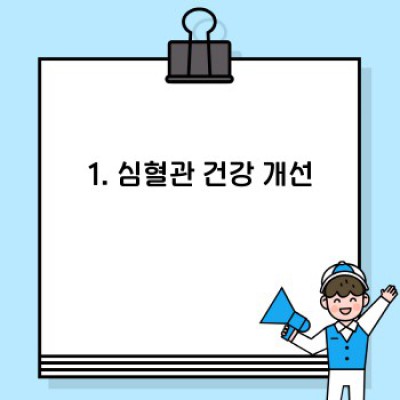 렌틸콩의 놀라운 효능: 건강과 다이어트를 위한 완벽한 선택