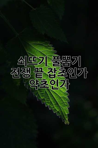 쇠뜨기, 풀뽑기 전쟁 끝? 잡초인가 약초인가?!