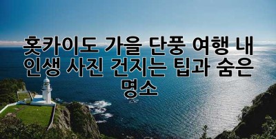 홋카이도 가을 단풍 여행: 내 인생 사진 건지는 팁과 숨은 명소!