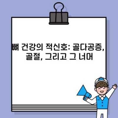 뼈이야기: 뼈 건강, 질병, 그리고 흥미로운 이야기들 - 모든 궁금증 해결!