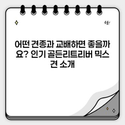 골든리트리버 교배: 믹스견의 매력과 유전적 특징 완벽 가이드