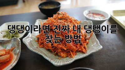 댕댕이라면, 진짜 내 댕댕이를 찾는 방법🐶