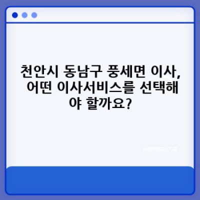 천안시 동남구 풍세면 이사 후기 공유: 이사서비스 선택 완벽 가이드