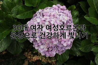 30대 여자, 여성호르몬과 운동으로 건강하게 빛나기 ✨