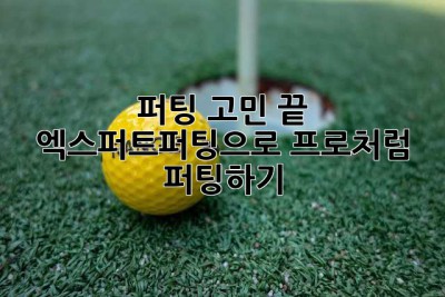 퍼팅 고민 끝! 엑스퍼트퍼팅으로 프로처럼 퍼팅하기