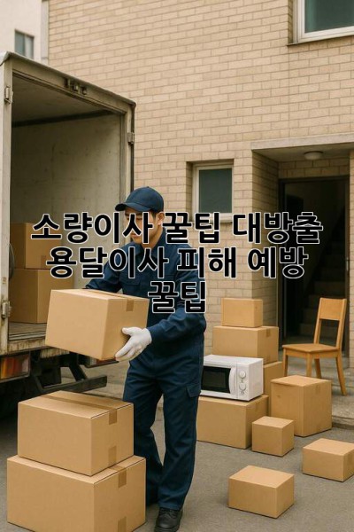 🚨 소량이사 꿀팁 대방출! 용달이사 피해 예방 & 꿀팁🍯
