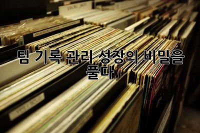 팀 기록 관리: 성장의 비밀을 풀다