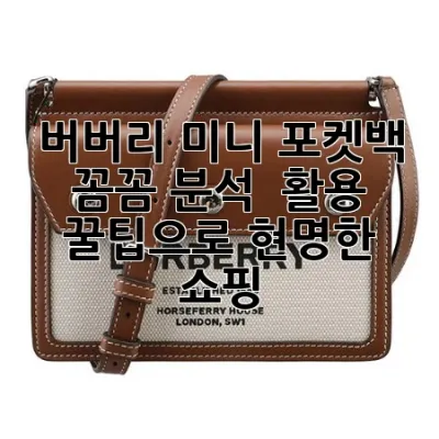 버버리 미니 포켓백: 꼼꼼 분석 & 활용 꿀팁으로 현명한 쇼핑!