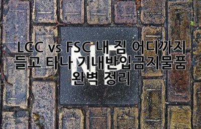 ✈️ LCC vs FSC: 내 짐, 어디까지 들고 타나? 기내반입금지물품 완벽 정리!