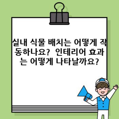 실내 식물 배치와 인테리어: 당신의 공간을 변화시키는 자연의 숨결