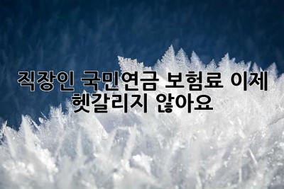 직장인 국민연금 보험료, 이제 헷갈리지 않아요!