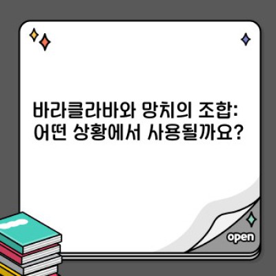 바라클라바햄머 완벽 가이드: 종류, 사용법, 주의사항까지!
