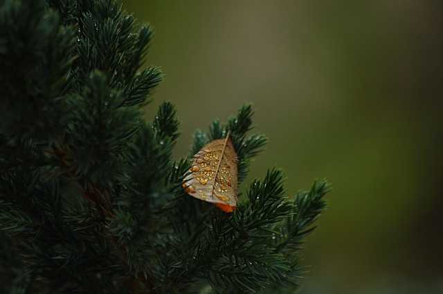 NFT투자001.jpg